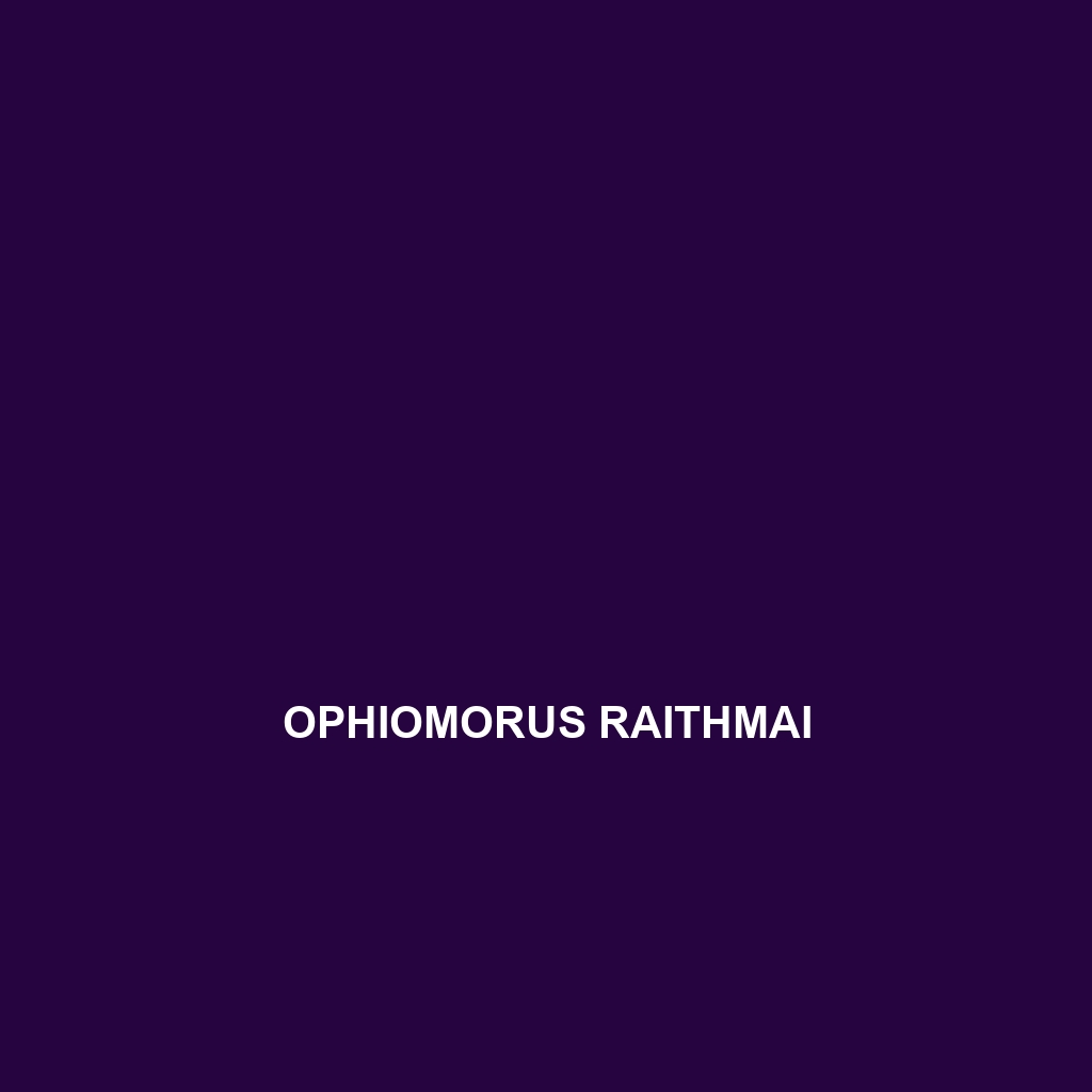 Ophiomorus raithmai