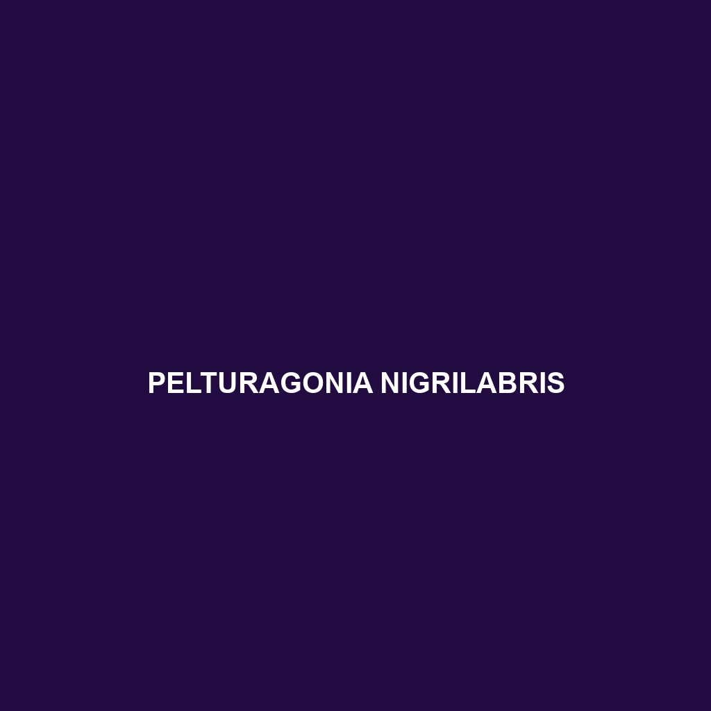 Pelturagonia nigrilabris