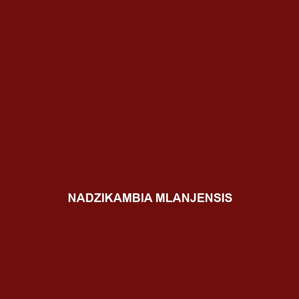 Nadzikambia mlanjensis