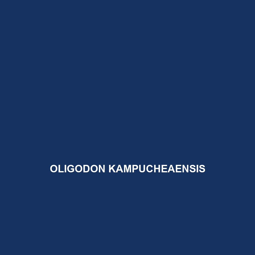 Oligodon kampucheaensis