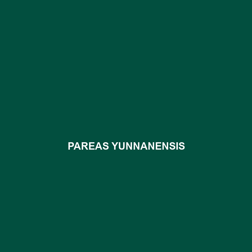 Pareas yunnanensis