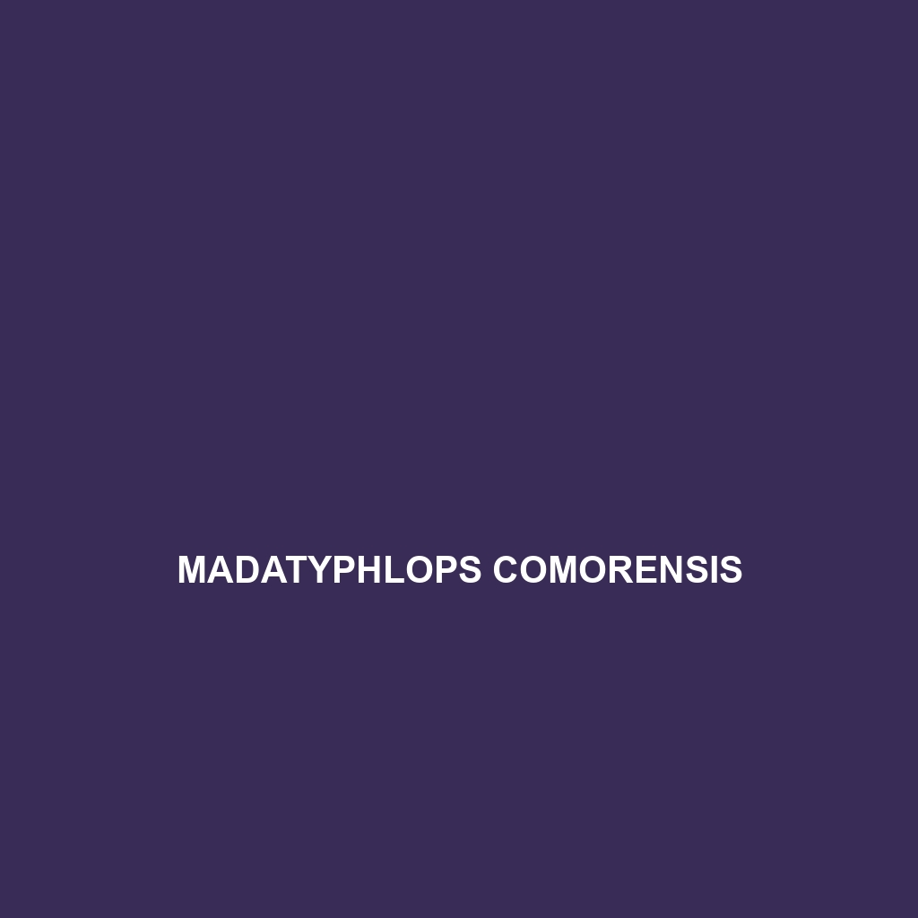 Madatyphlops comorensis