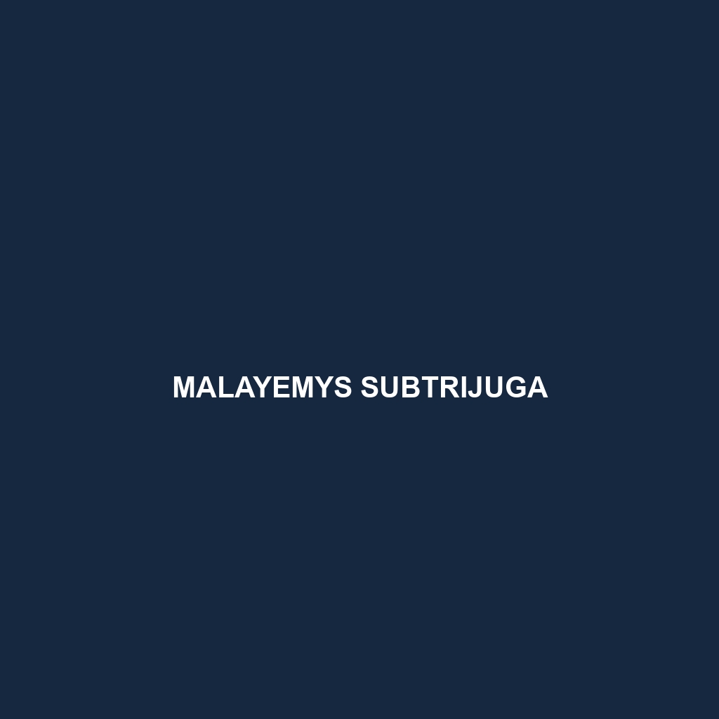 Malayemys subtrijuga