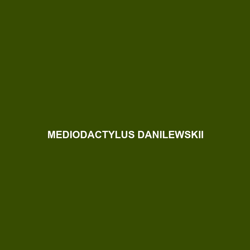 Mediodactylus danilewskii