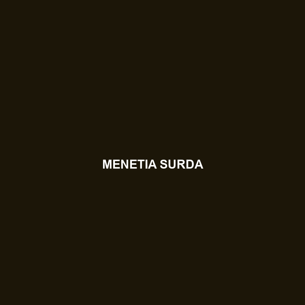 Menetia surda