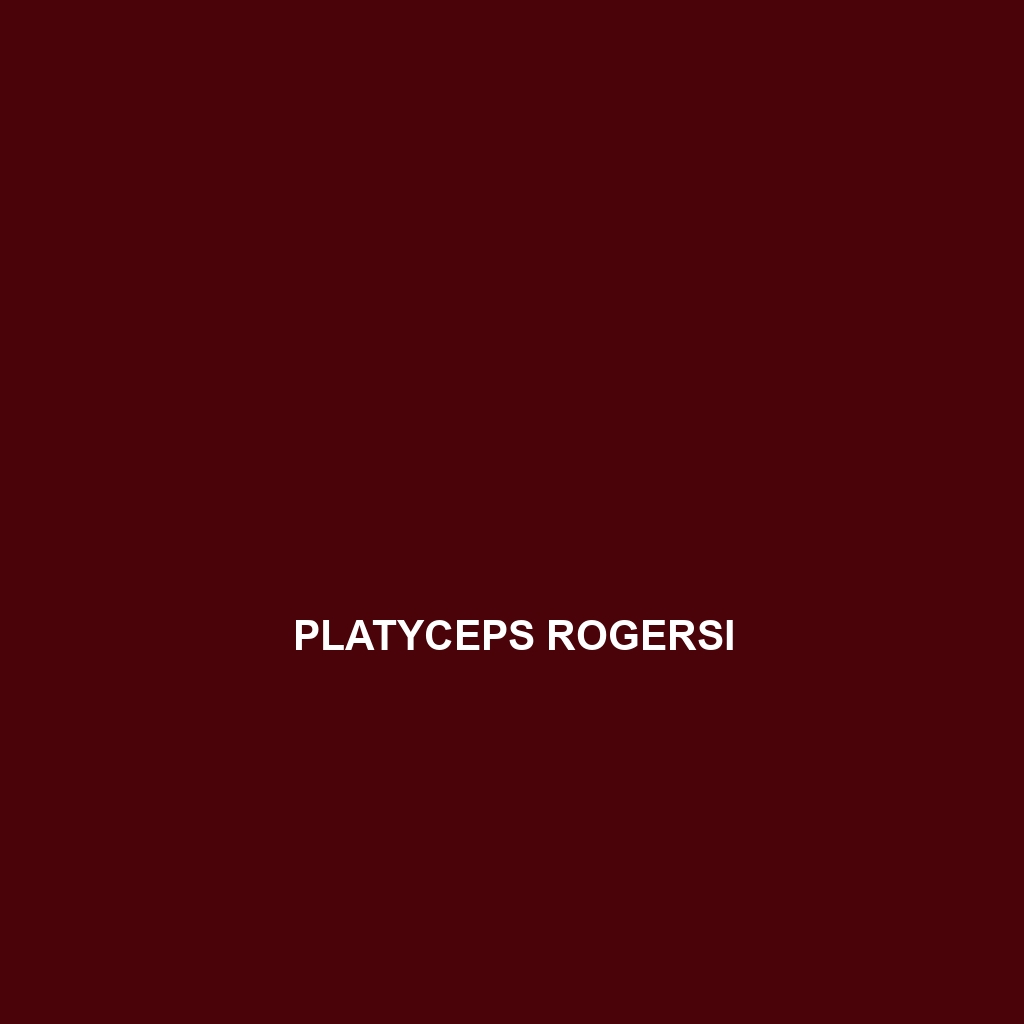 Platyceps rogersi