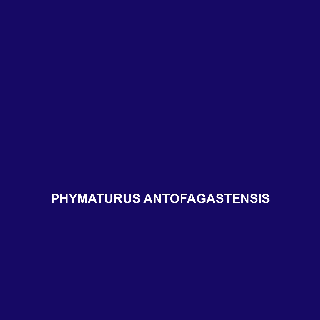 Phymaturus antofagastensis