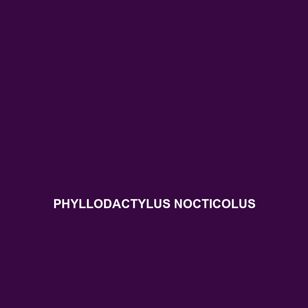 Phyllodactylus nocticolus