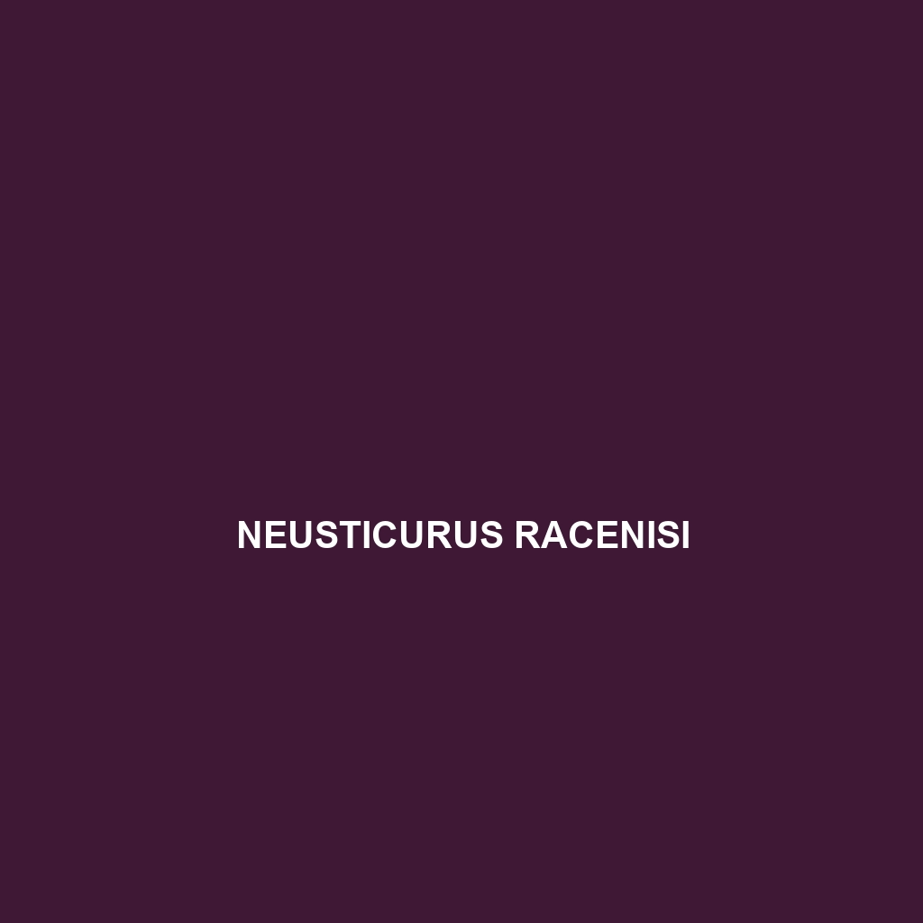 Neusticurus racenisi