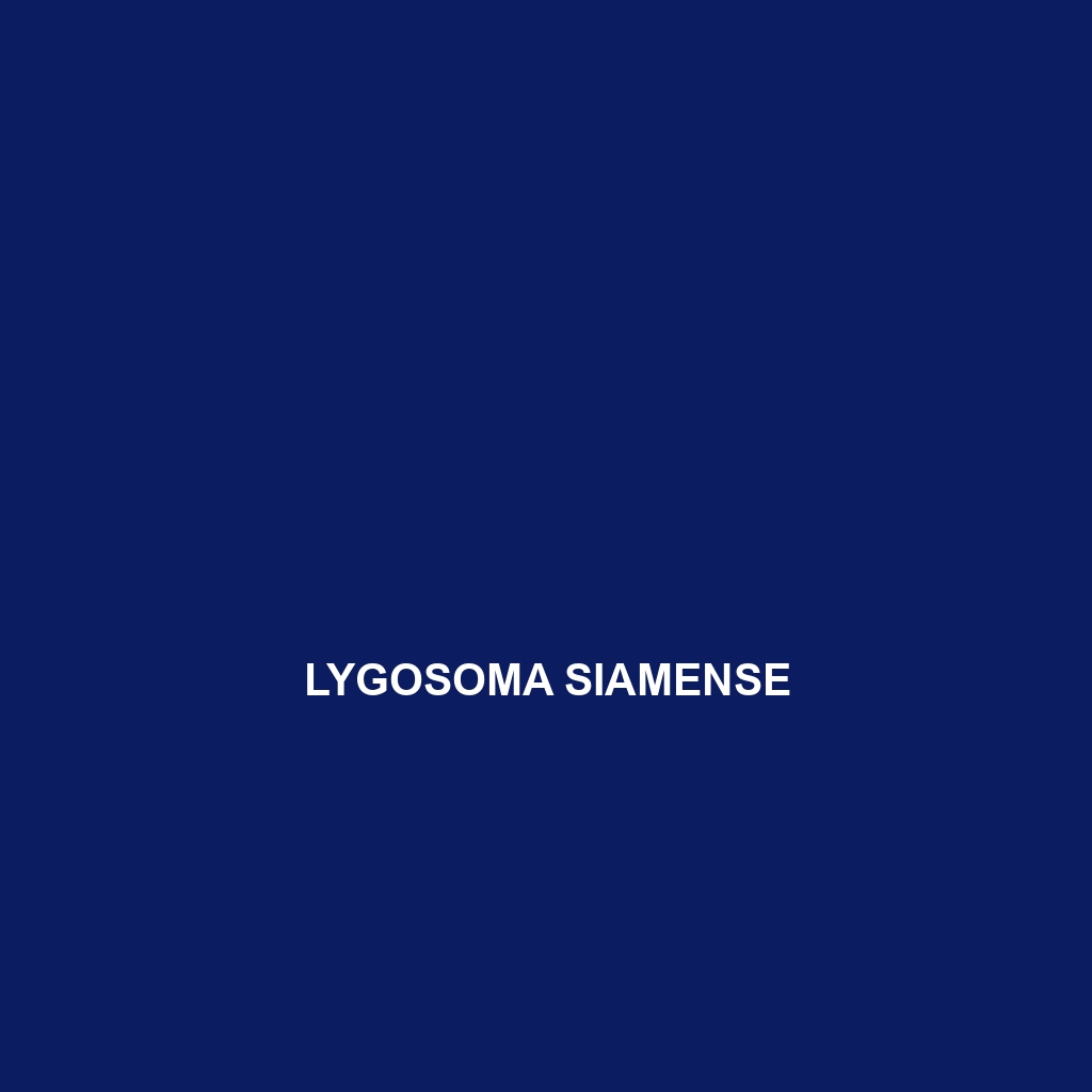 Lygosoma siamense