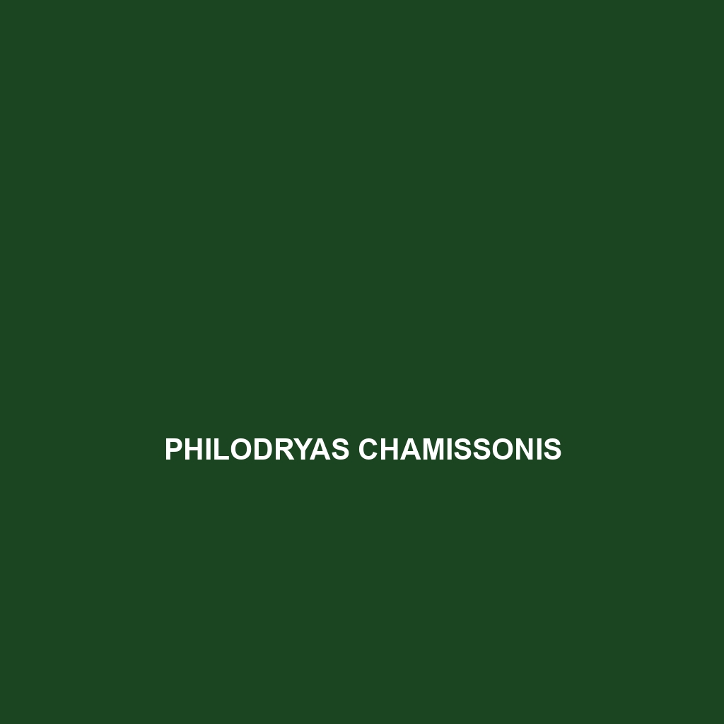 Philodryas chamissonis