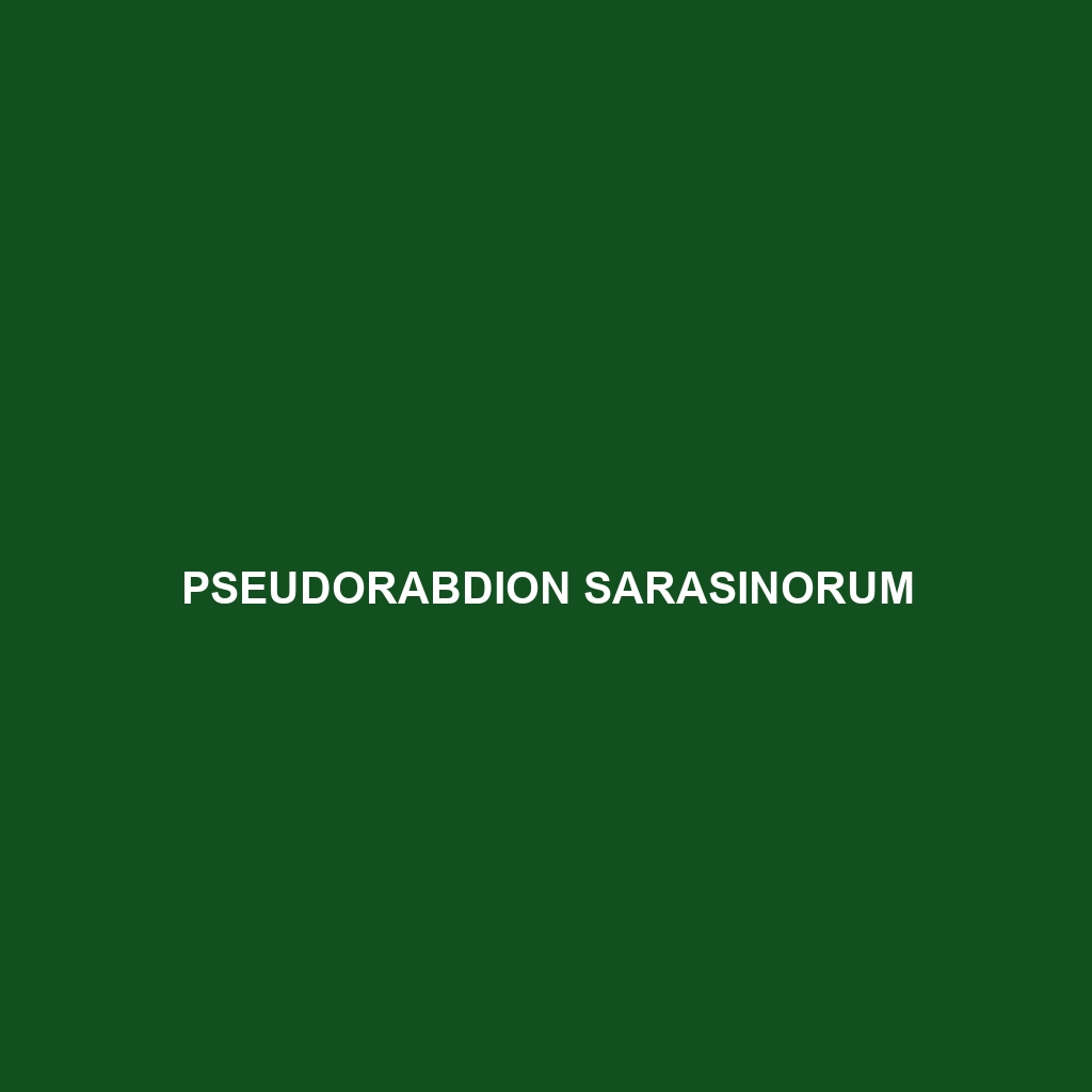 Pseudorabdion sarasinorum