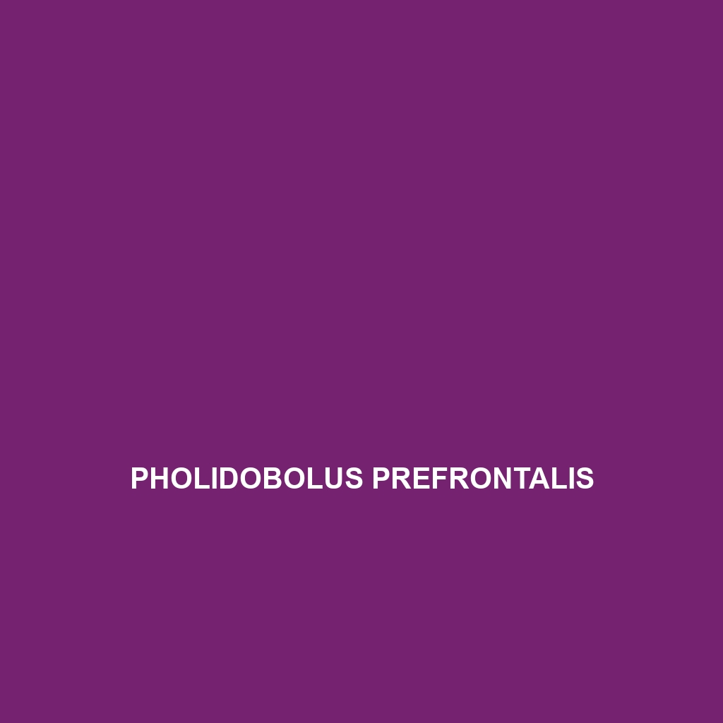 Pholidobolus prefrontalis