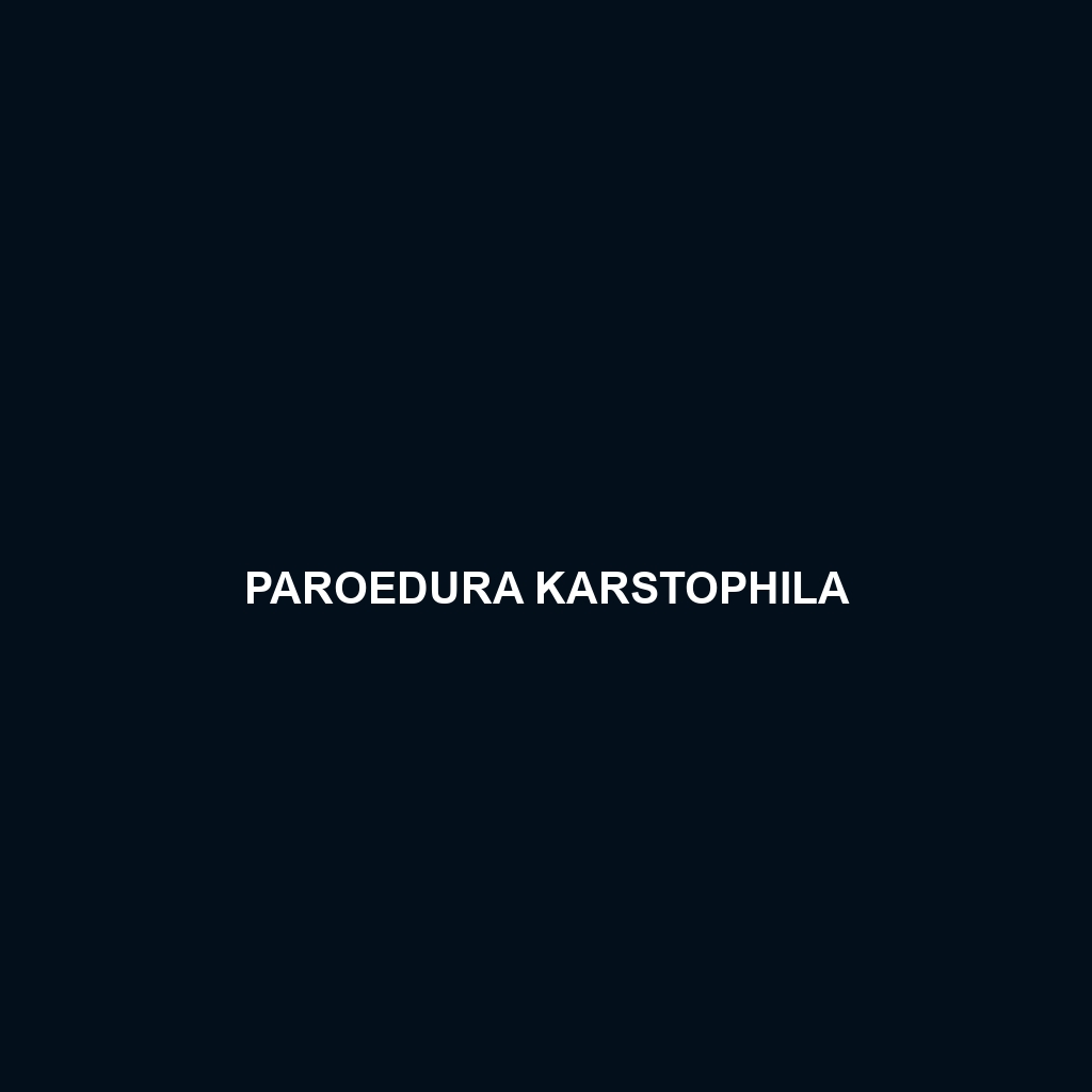 Paroedura karstophila