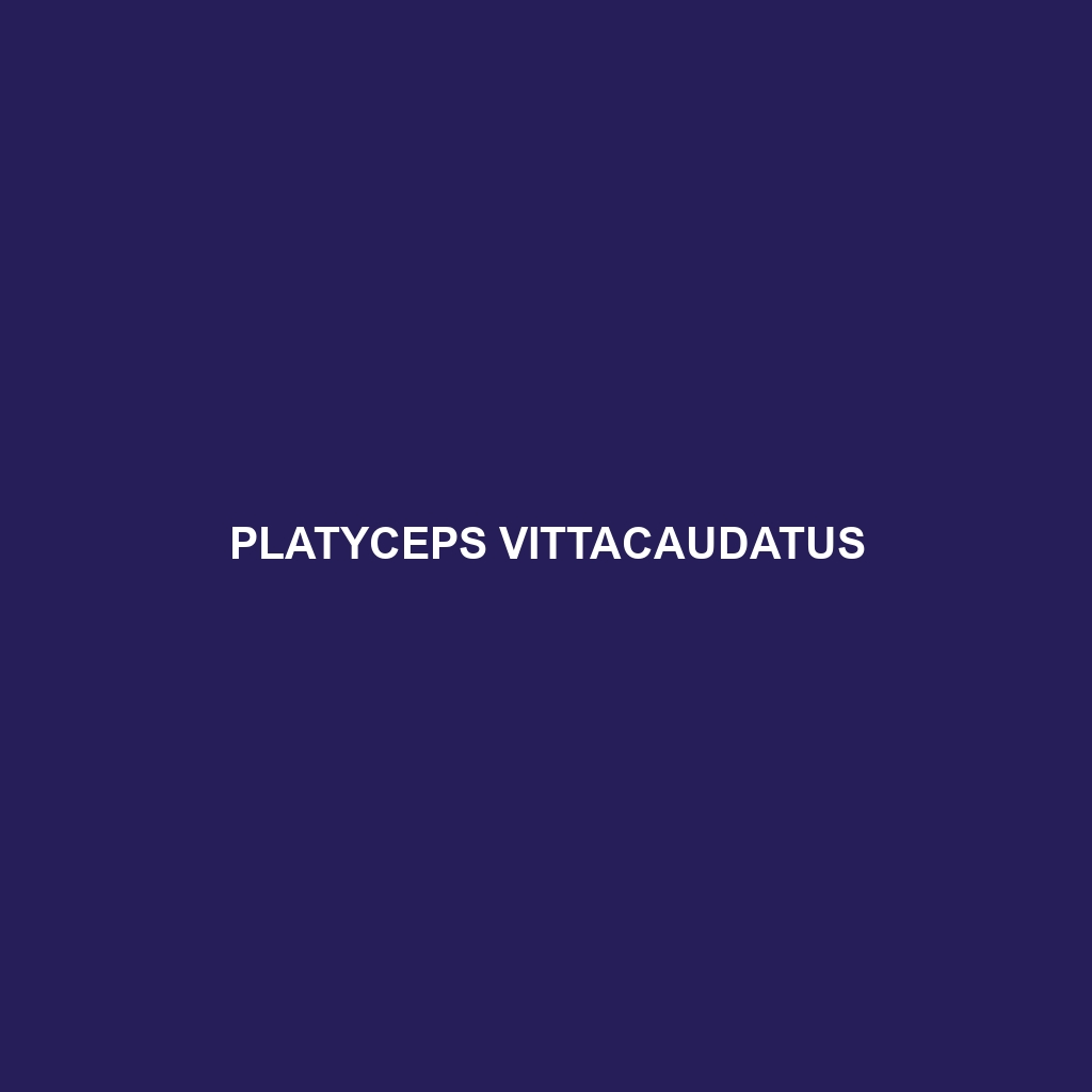 Platyceps vittacaudatus