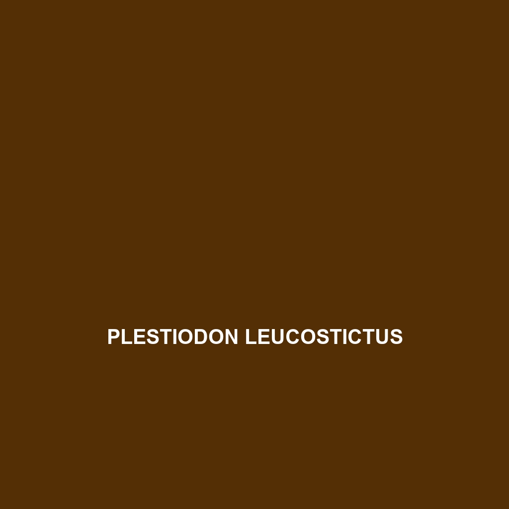 Plestiodon latiscutatus