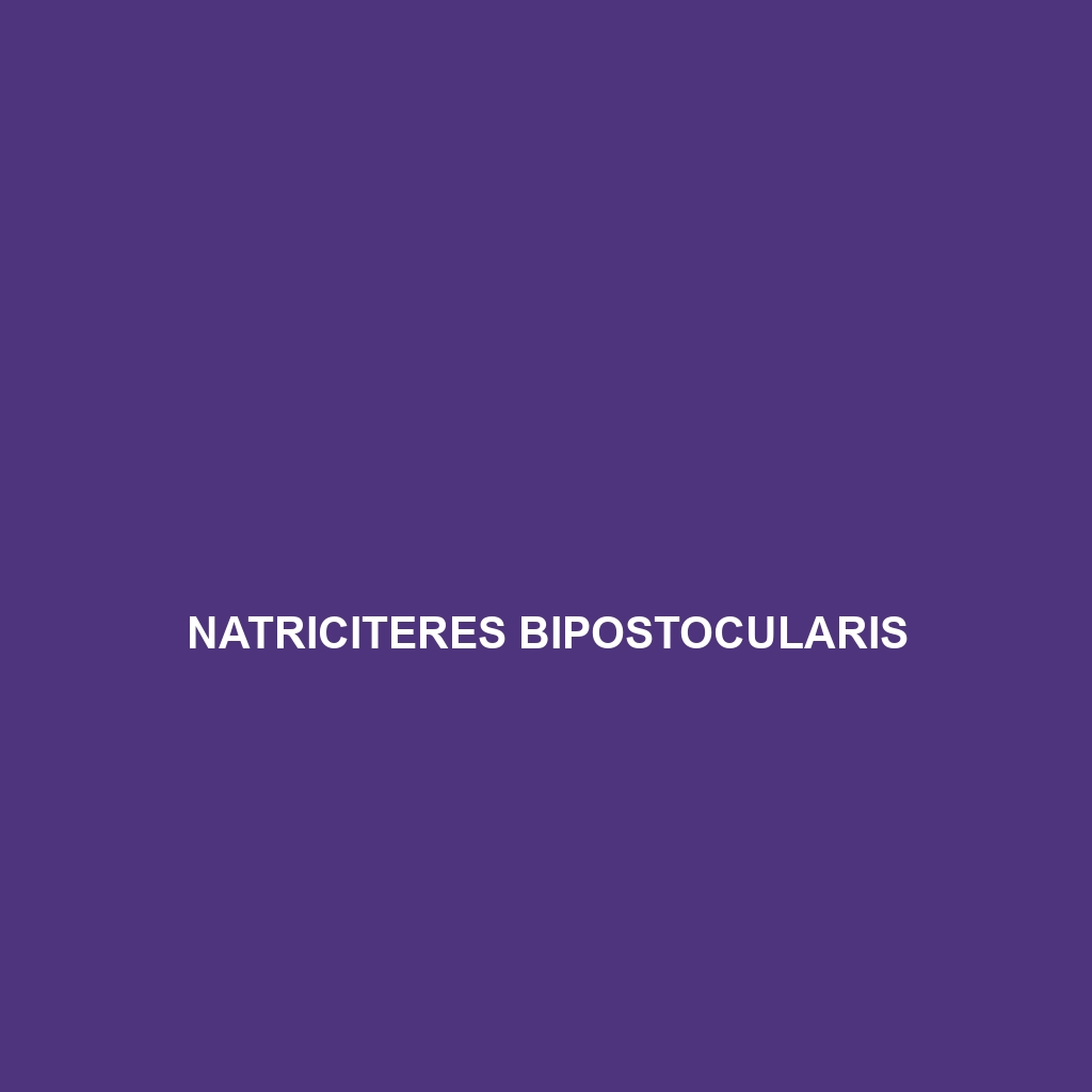 Natriciteres bipostocularis