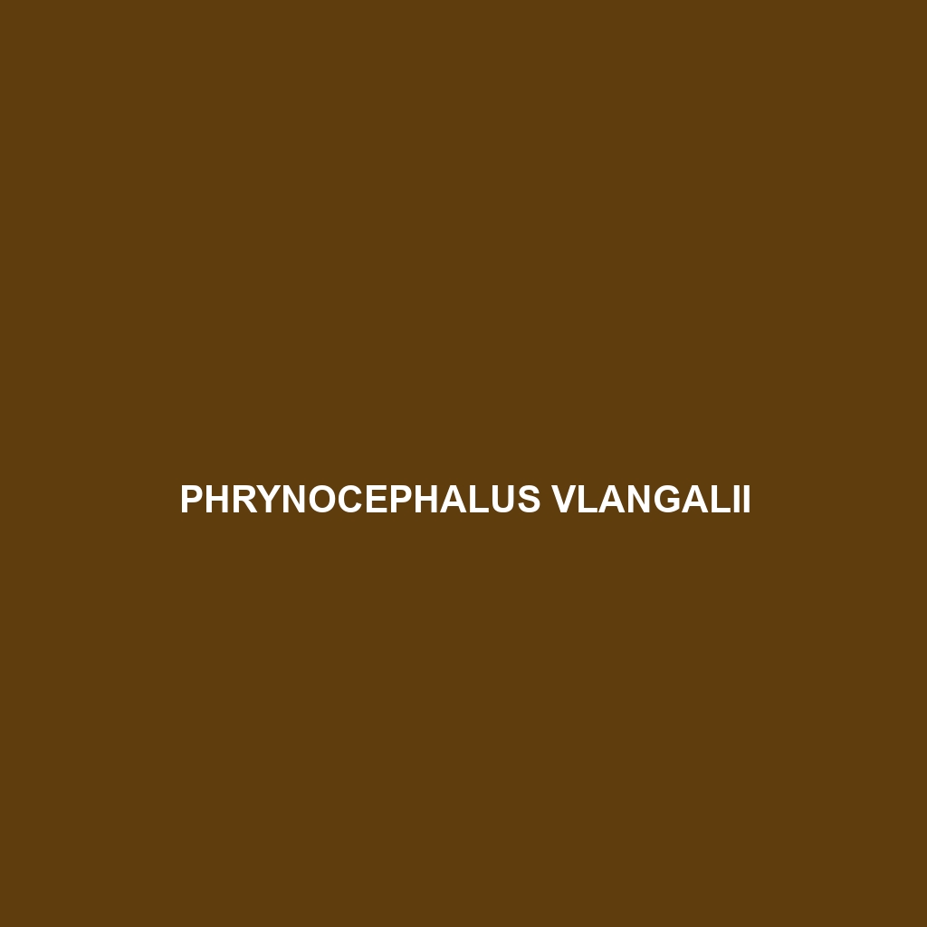 Phrynocephalus vlangalii