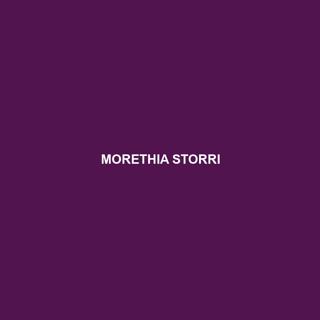 Morethia storri