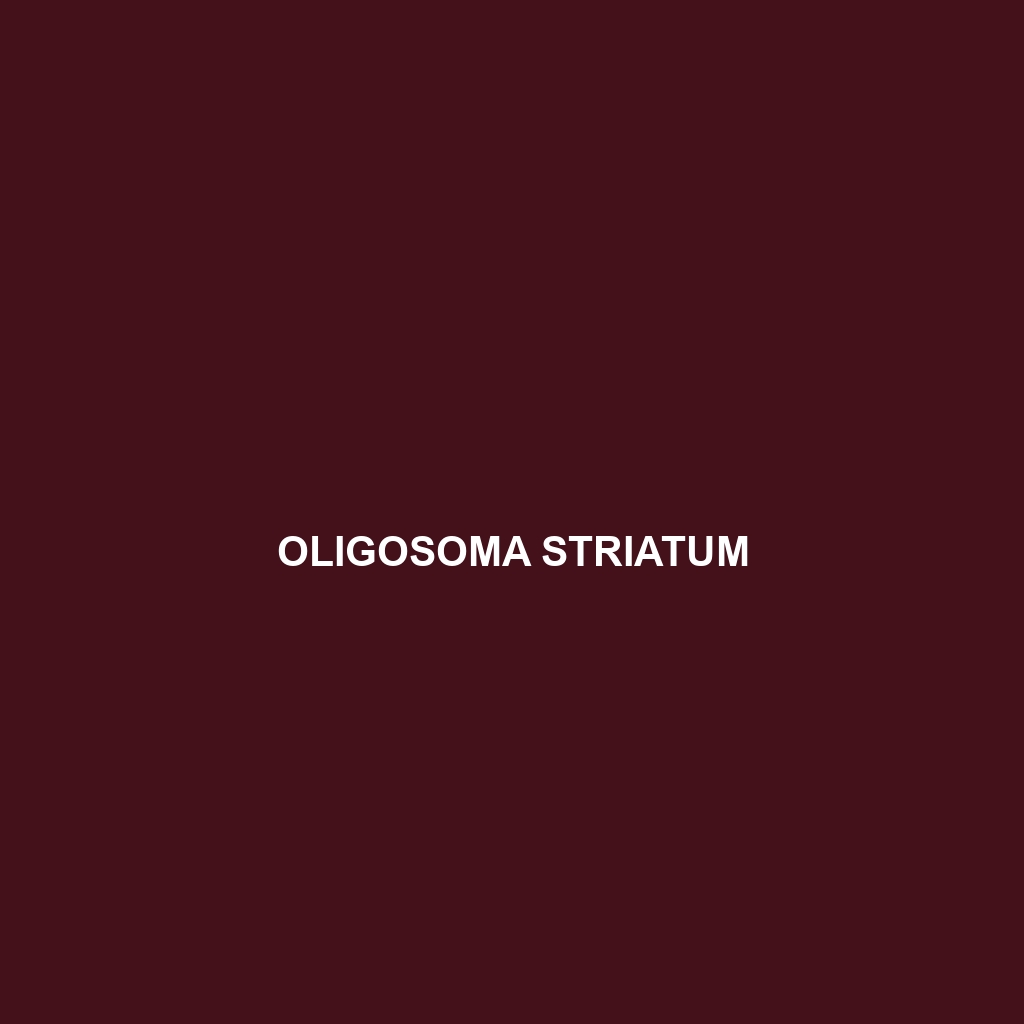 Oligosoma striatum