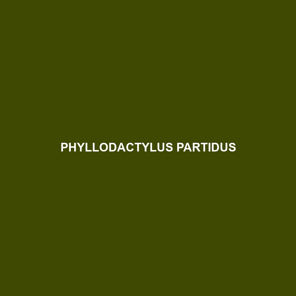 Phyllodactylus partidus