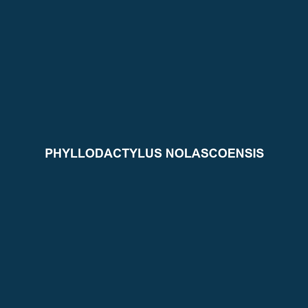 Phyllodactylus nolascoensis