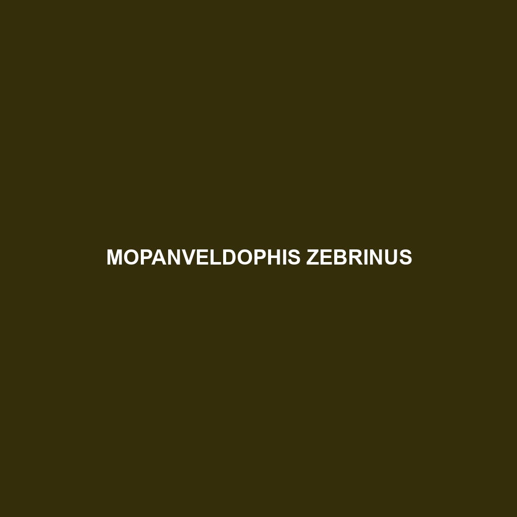 Mopanveldophis zebrinus