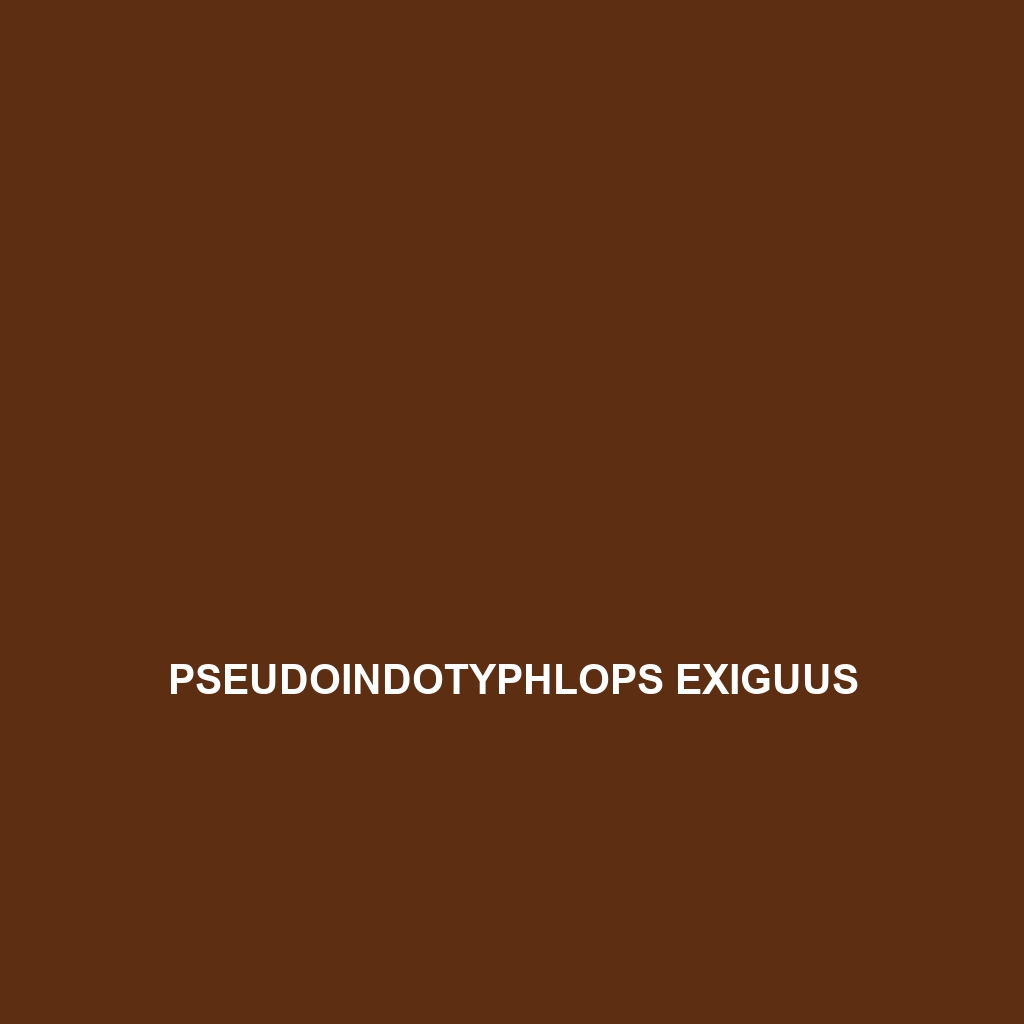 Pseudoindotyphlops exiguus