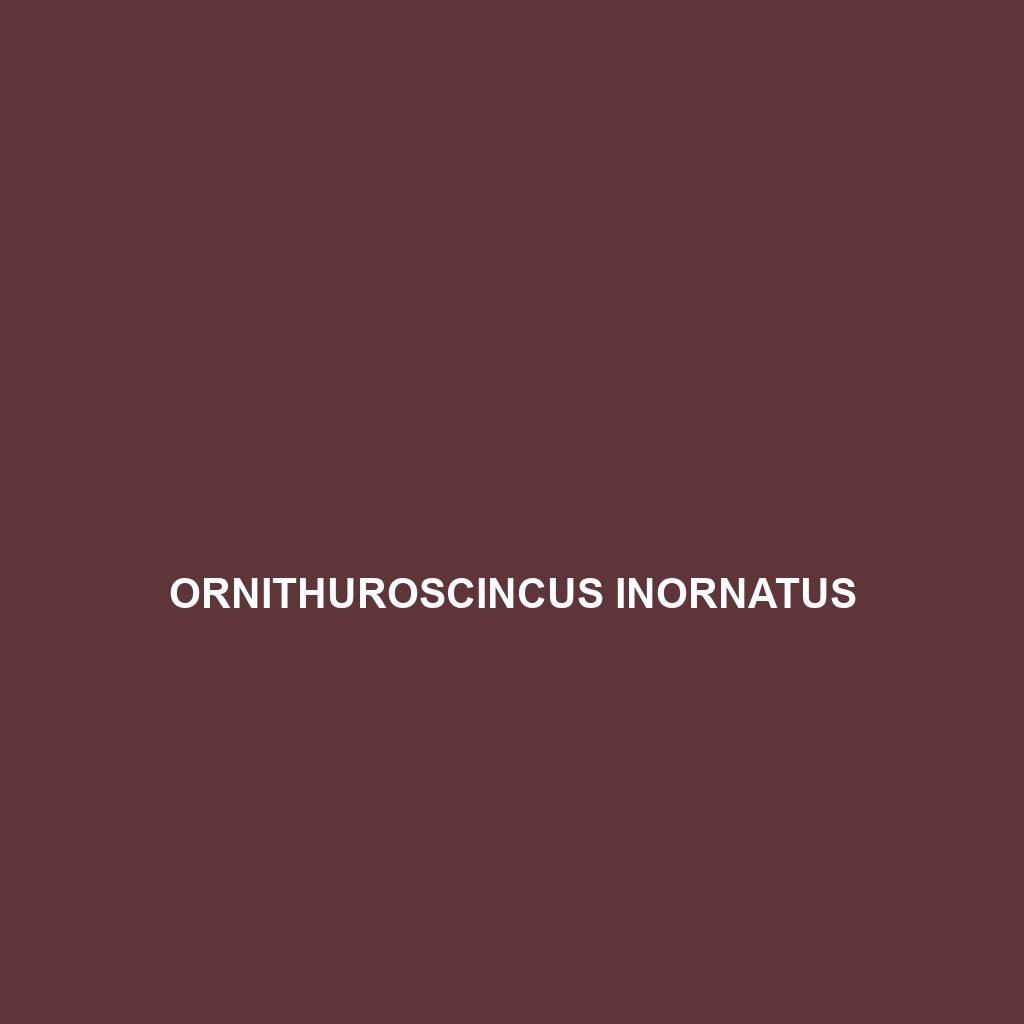 Ornithuroscincus inornatus