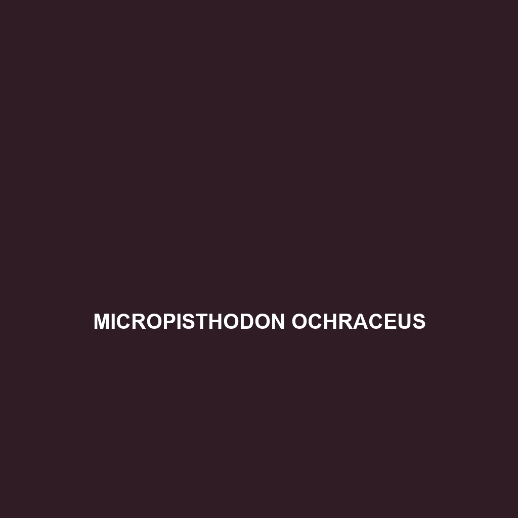 Micropisthodon ochraceus