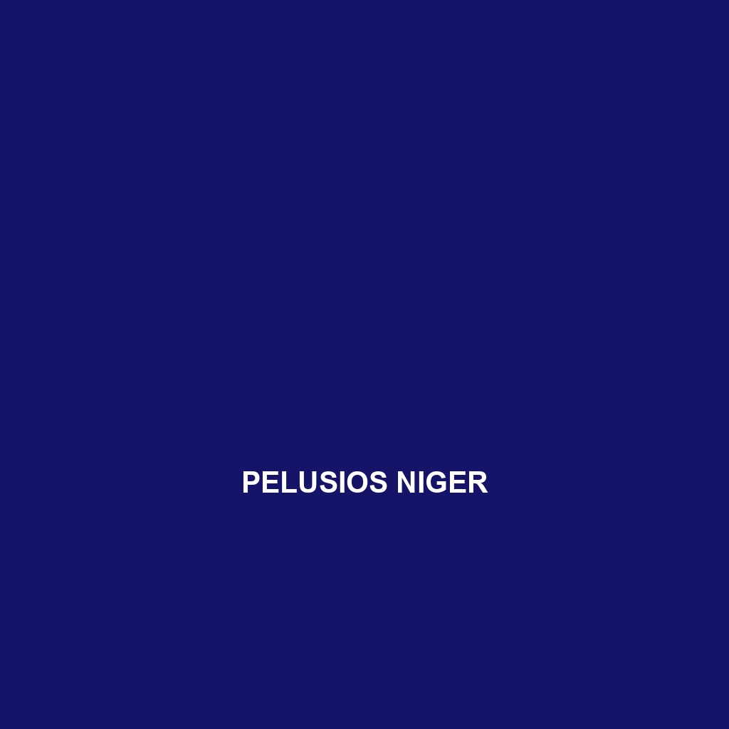 Pelusios niger