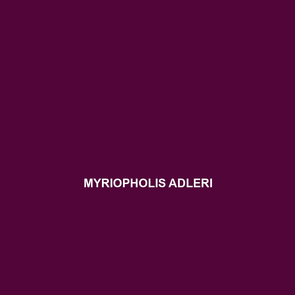 Myriopholis adleri