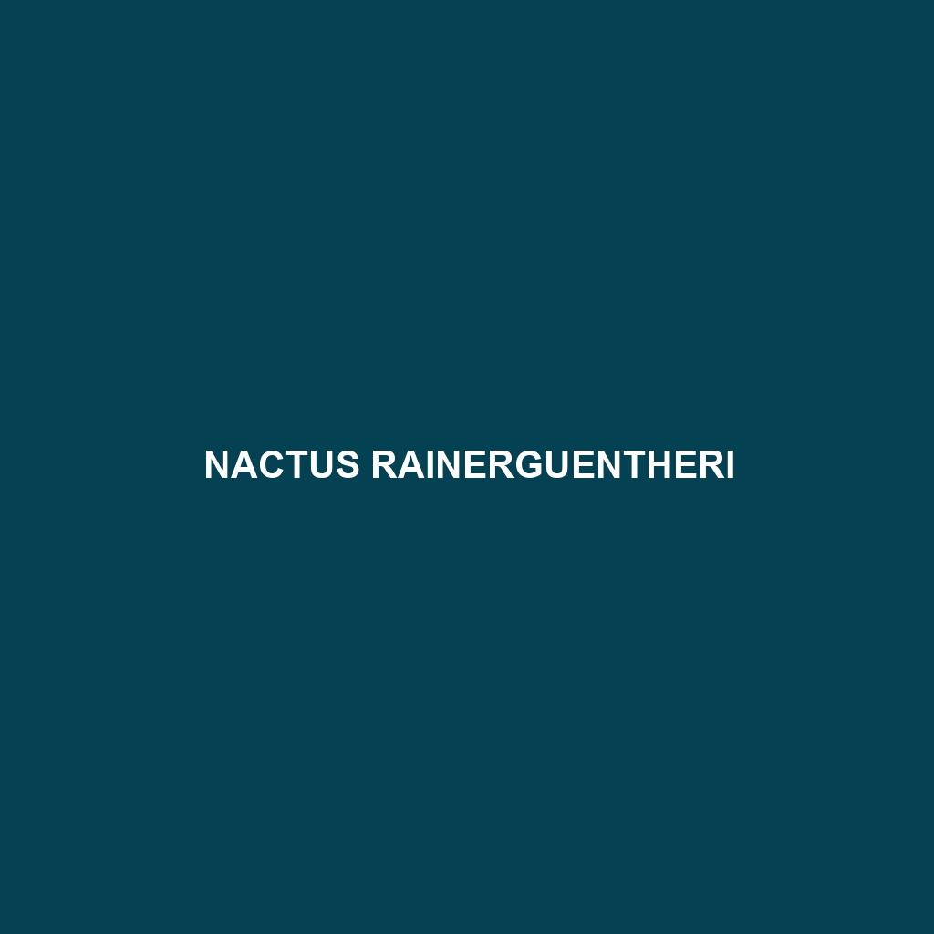 Nactus rainerguentheri