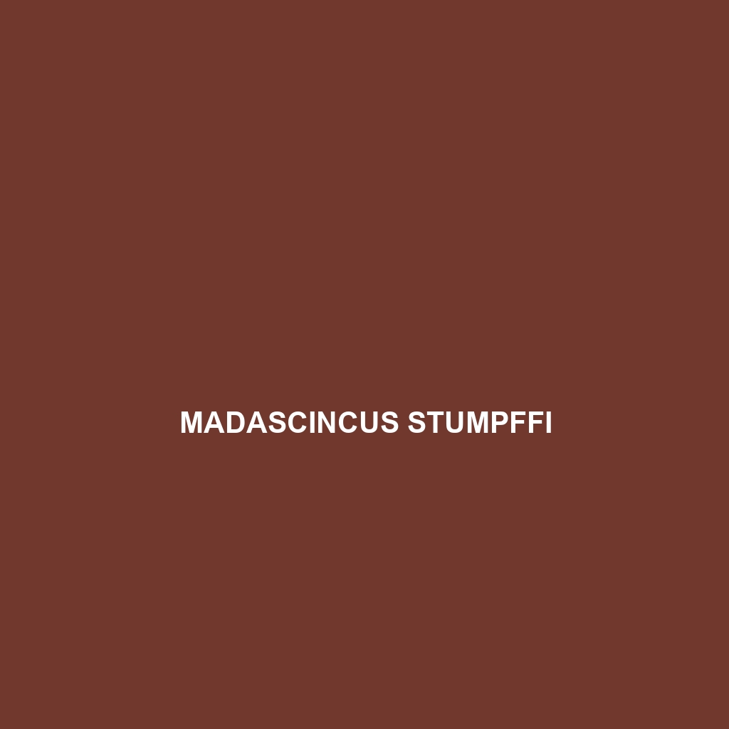 Madascincus stumpffi