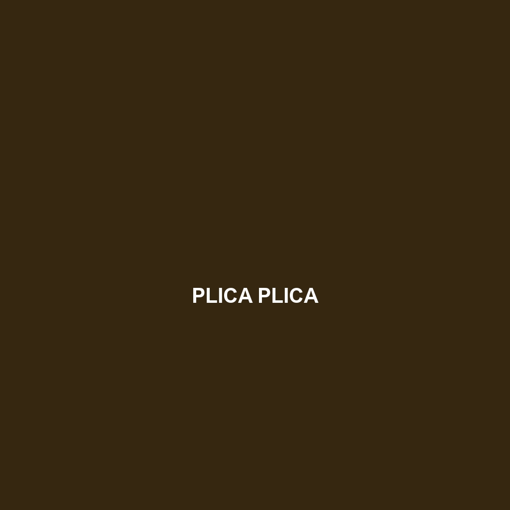 Plica plica