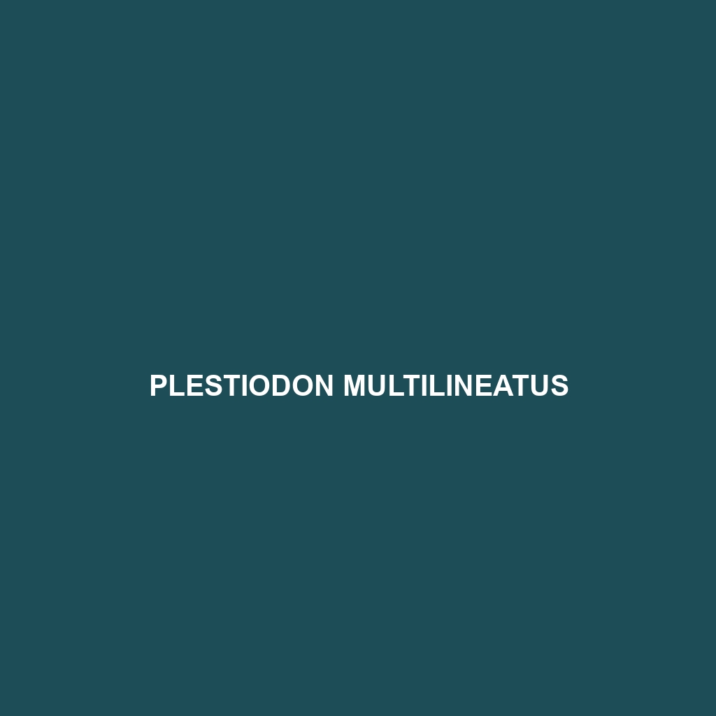 Plestiodon multilineatus