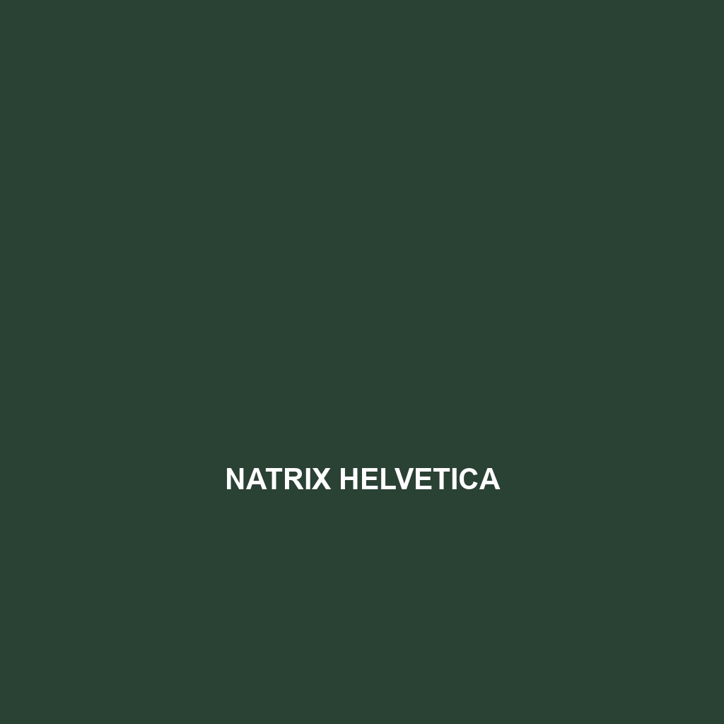 Natrix helvetica