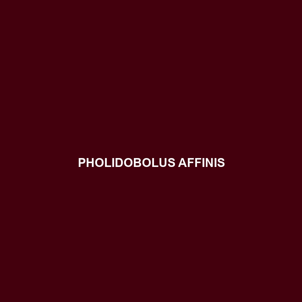 Pholidobolus affinis