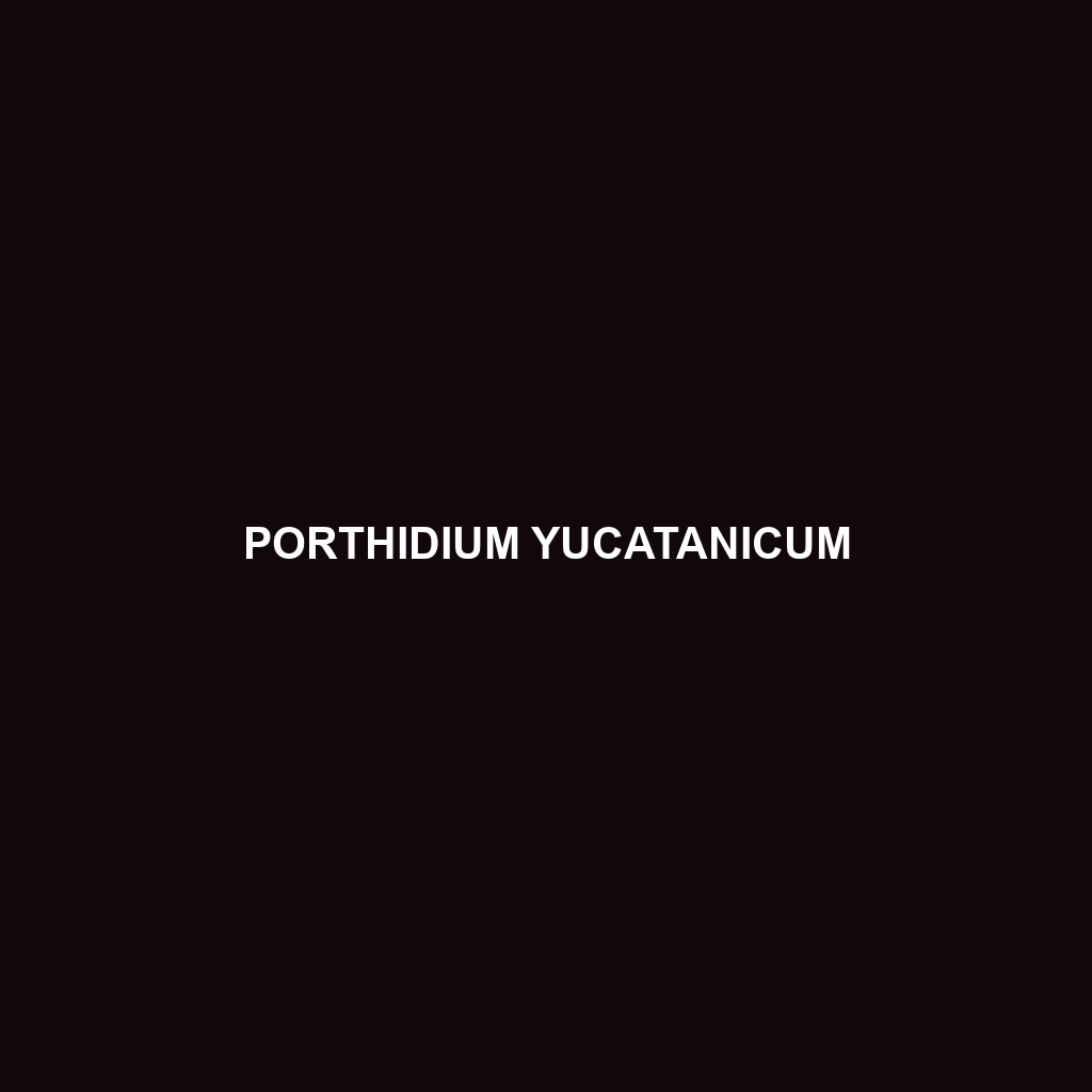 Porthidium yucatanicum