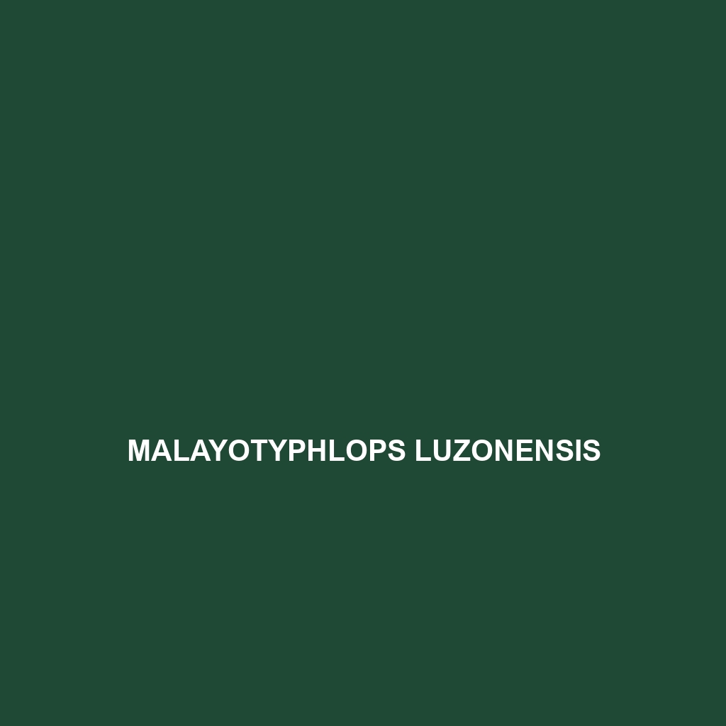 Malayotyphlops luzonensis