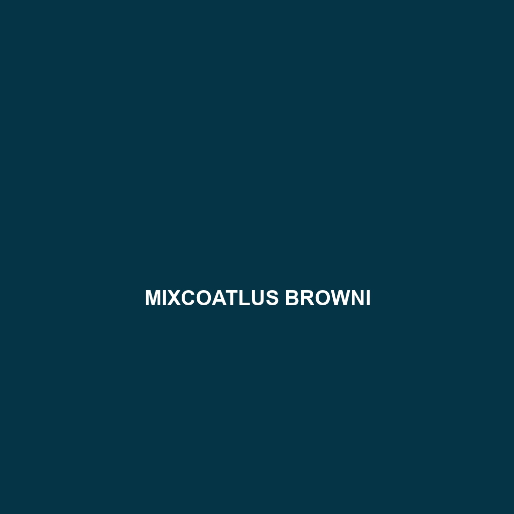 Mixcoatlus browni