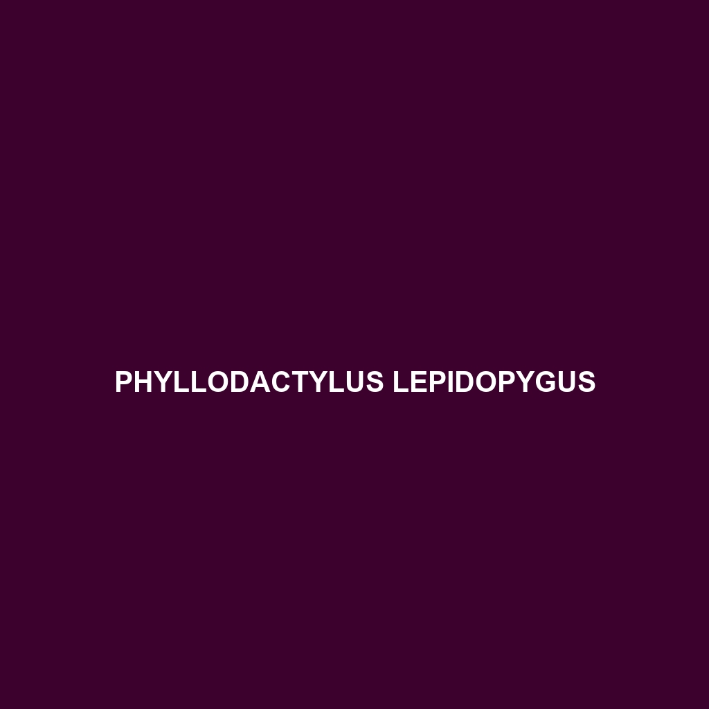 Phyllodactylus lepidopygus