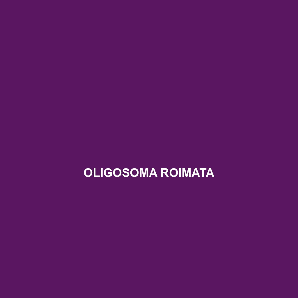 Oligosoma roimata