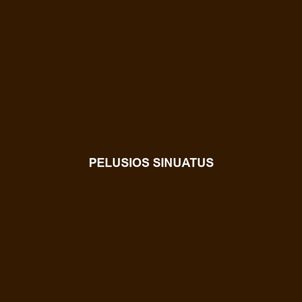 Pelusios sinuatus