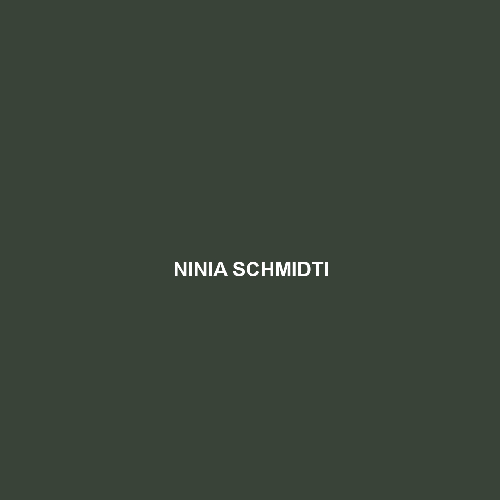 Ninia schmidti