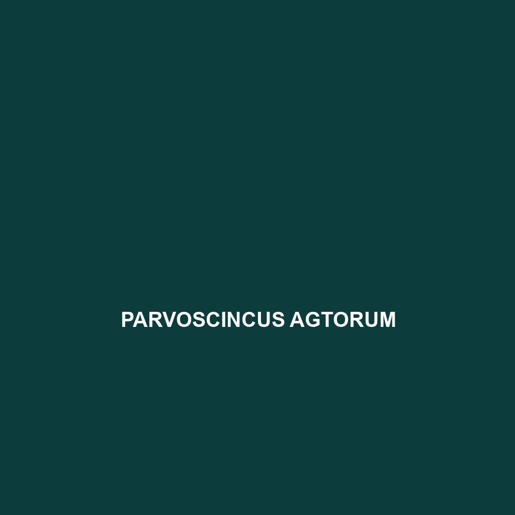 Parvoscincus agtorum