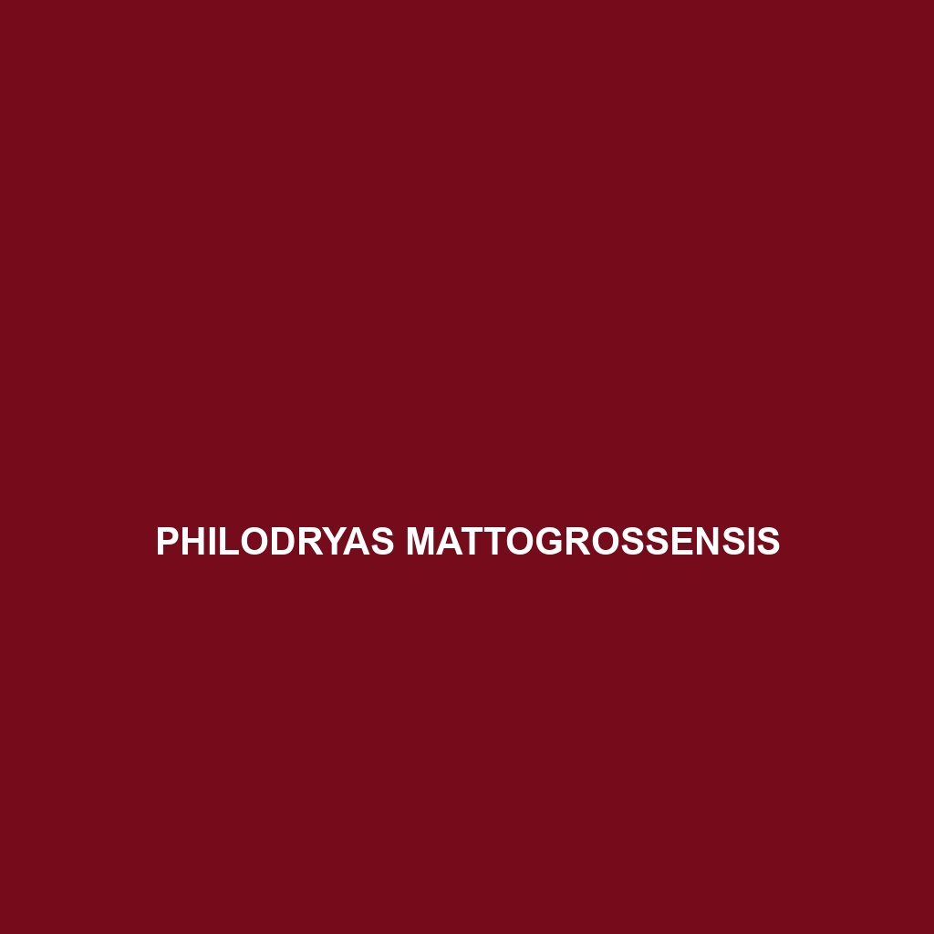 Philodryas mattogrossensis