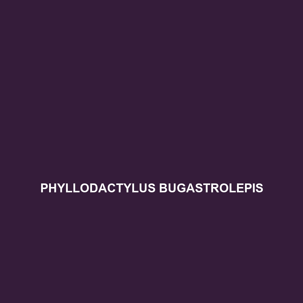 Phyllodactylus bugastrolepis