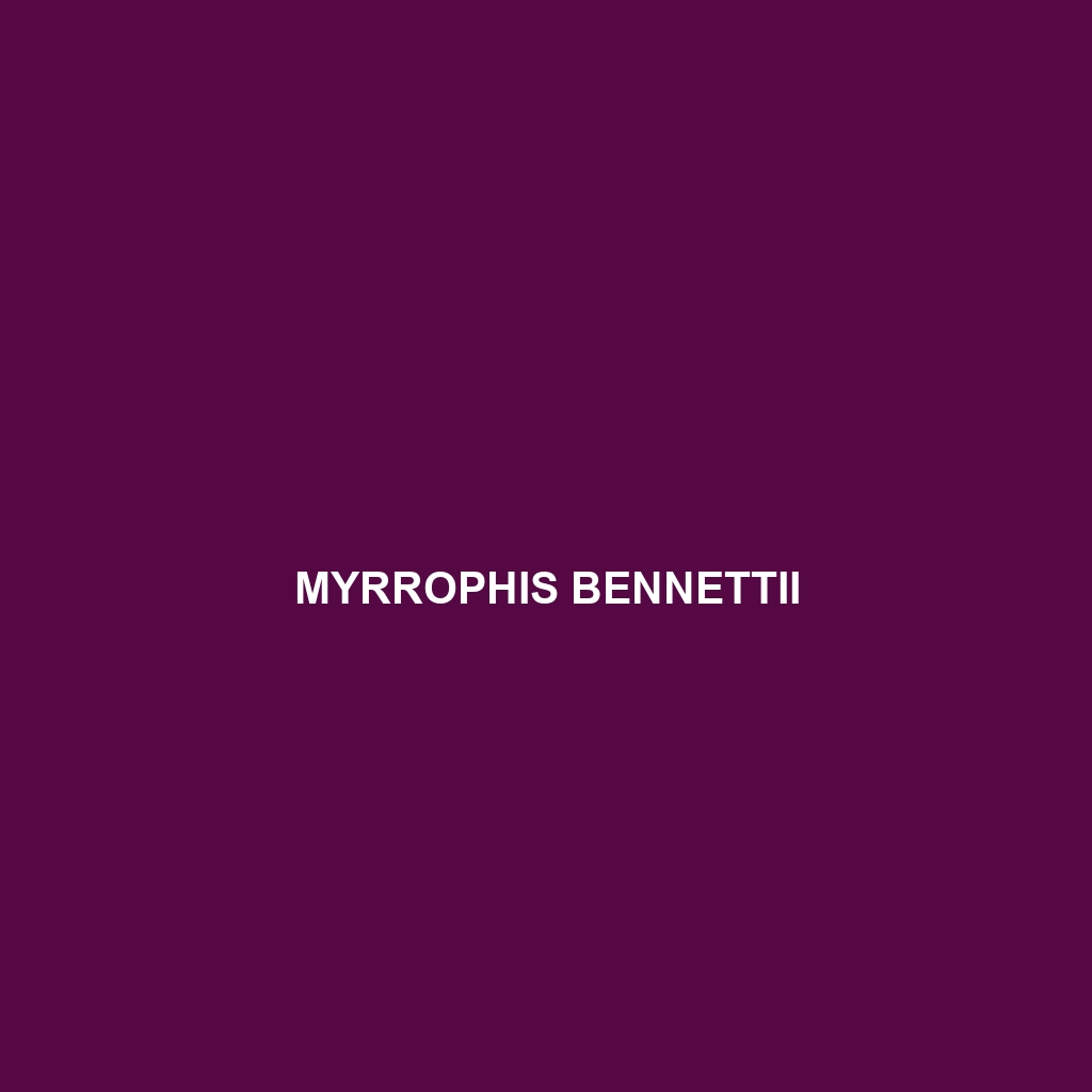 Myrrophis bennettii