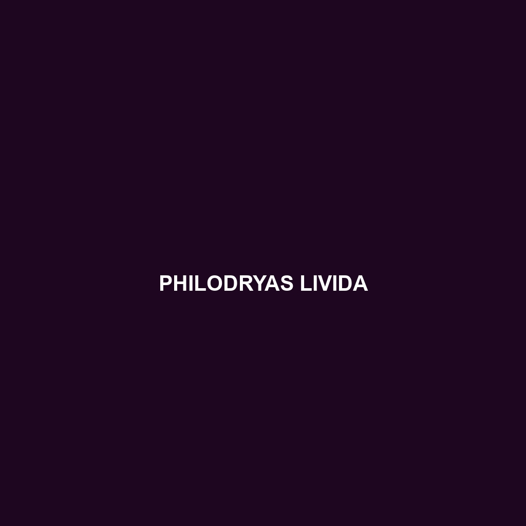 Philodryas livida